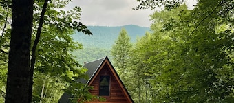 Private Mountain View Alpine A-Frame 8 miles to Snowshoe