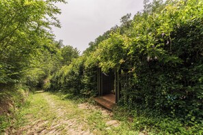 A stone pathway leading to a wooden structure surrounded by dense greenery. - Charming mill nestled in the woods, convenient for visiting all of Tuscany (Colle di Buggiano)
