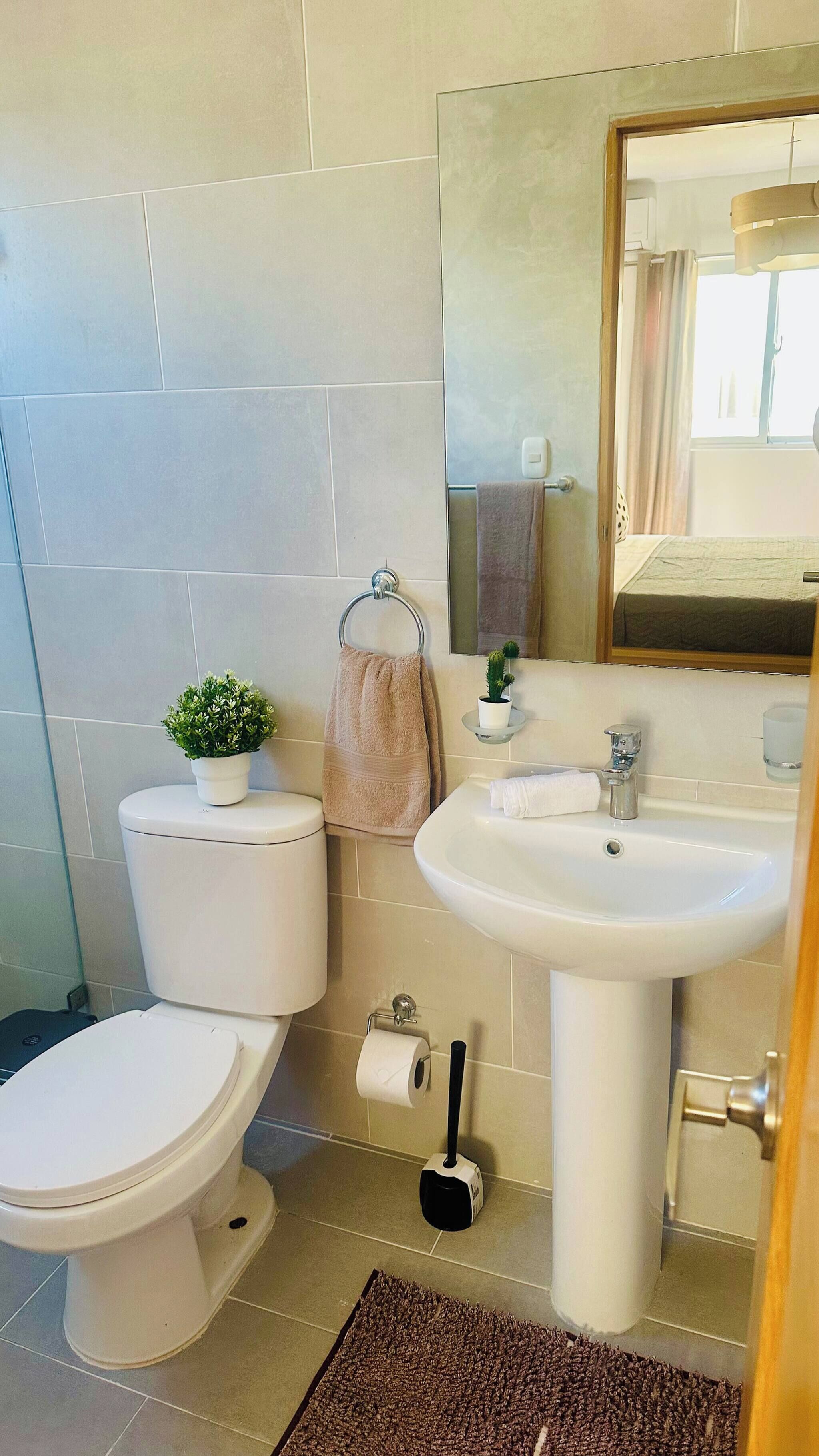 A bathroom with a toilet, sink, mirror, towel rack, and a small potted plant.