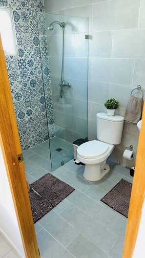 Ein Badezimmer mit Dusche, Toilette und einem kleinen Topfpflanzen.