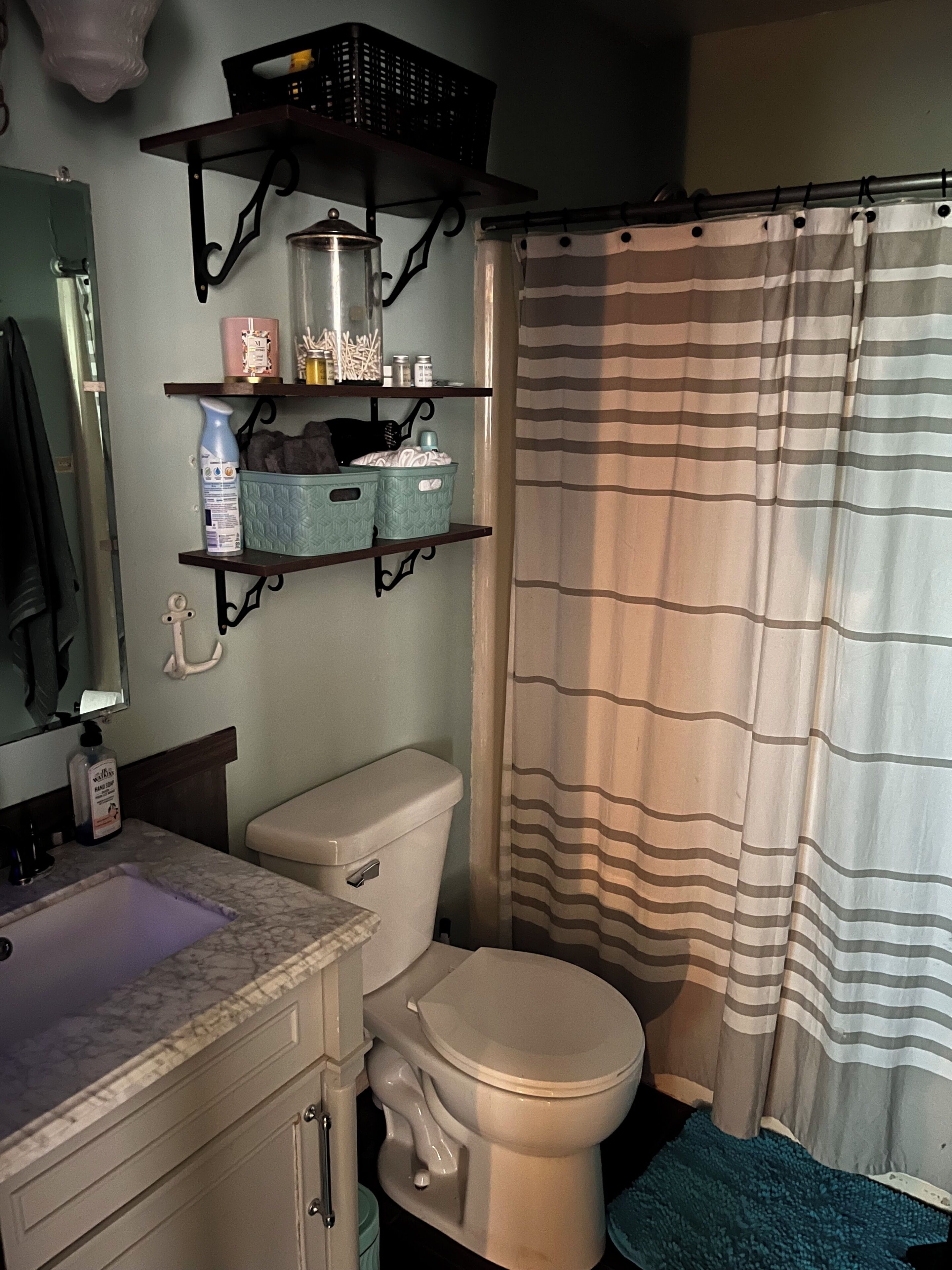 Ein Badezimmer mit Toilette, Waschbecken und Duschvorhang.