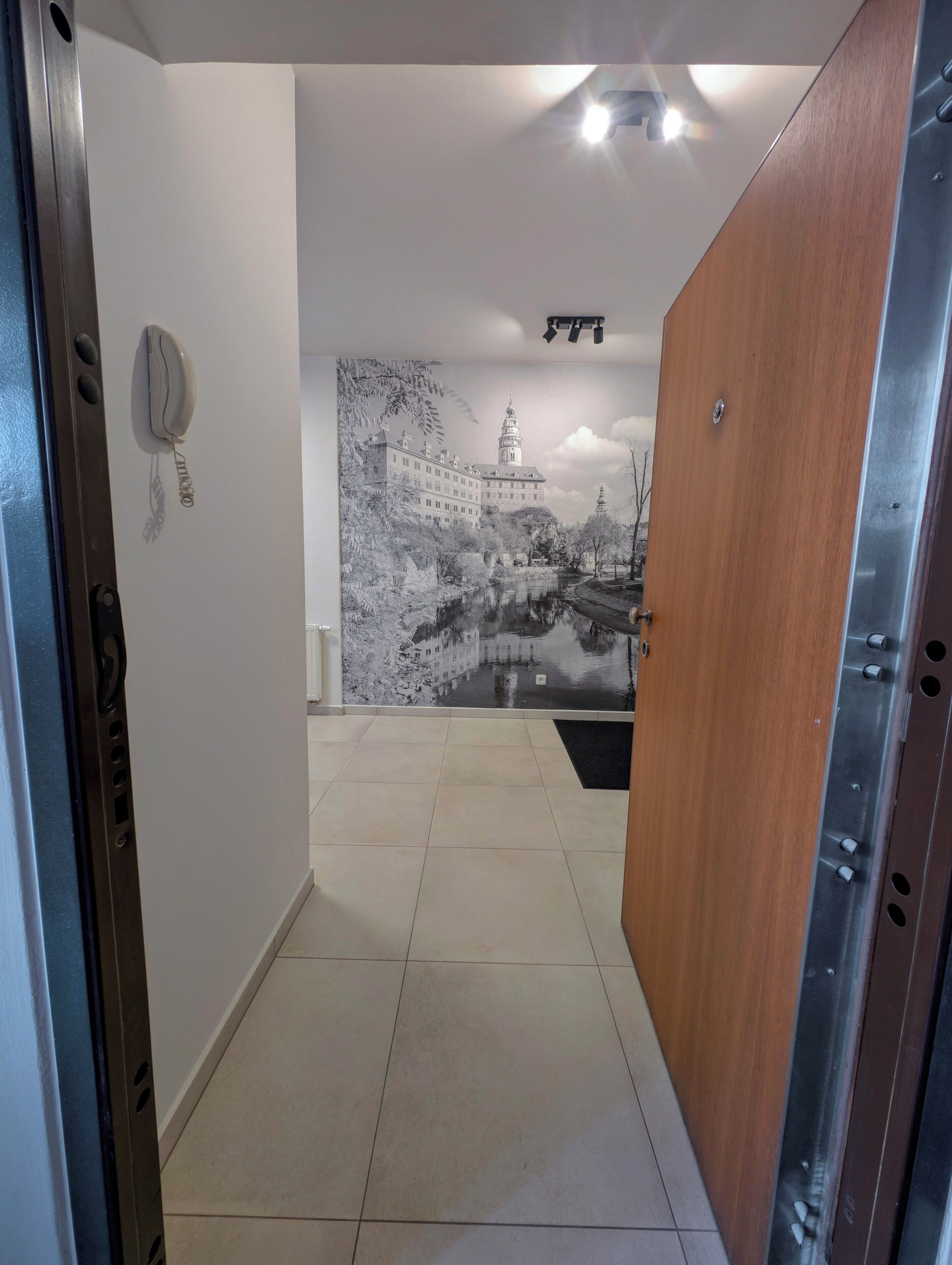 A hallway with a wooden door, a wall-mounted telephone, and a large black-and-white mural of a castle and river.