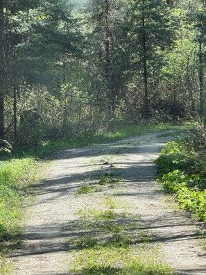 Miscellaneous - Tranquil 1-bedroom cabin in peaceful Crystal Falls getaway. (Crystal Falls)