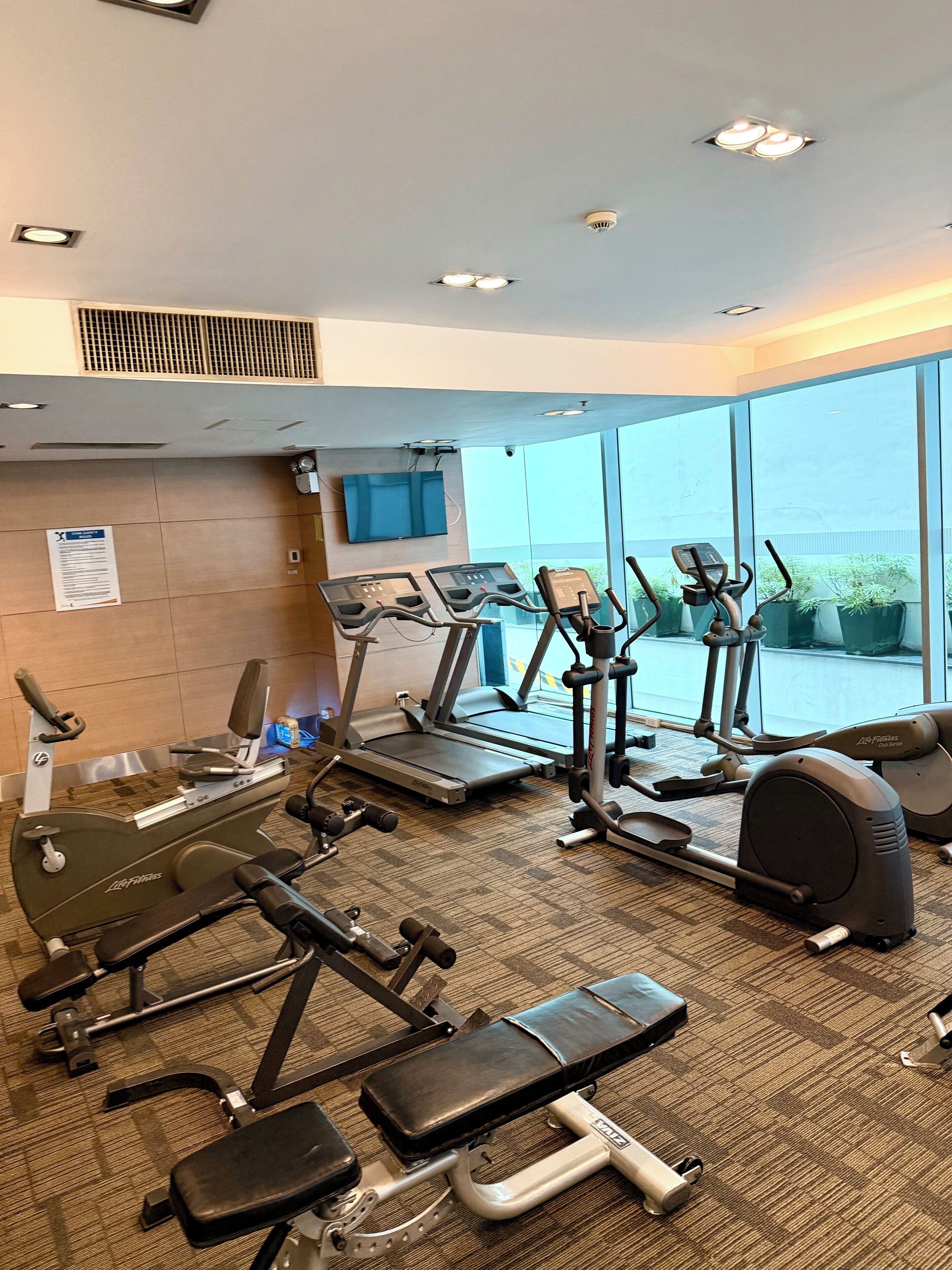 A gym with treadmills, elliptical machines, and weight benches.
