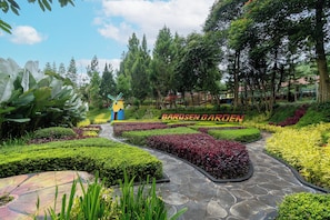 A garden with a windmill, well-maintained hedges, and a stone pathway.