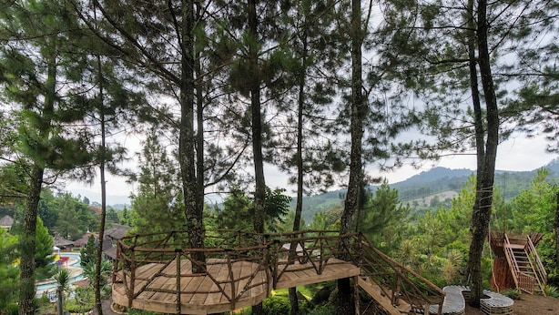 Una plataforma de madera para observación rodeada de árboles, con una piscina y sillones de descanso al fondo.