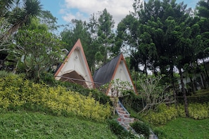 Una construcción de techo triangular rodeada de abundante vegetación y árboles.