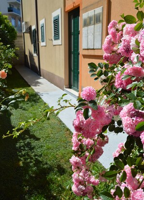 Ein Gebäude mit grüner Tür und Fenstern, einem Bürgersteig und rosa Blumen.