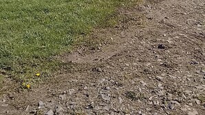 Ländliche Landschaft mit einem Feldweg, grünen Wiesen und einem Zaun.