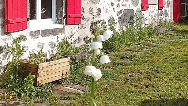 Ein Steinhaus mit roten Fensterläden und einem Rasen.