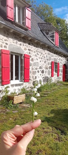 Cottage 2 pers nature and calm in Cantal, animals accepted!