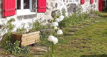 Cottage 2 pers nature and calm in Cantal, animals accepted!