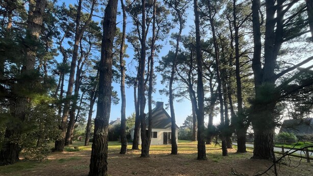 A forested area with tall trees and a building in the background. - House in Penestin, located 350 m from the beach (Penestin)