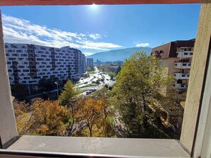 Interior - Light and cozy studio in fantastic Skopje fully equipped (Skopje)