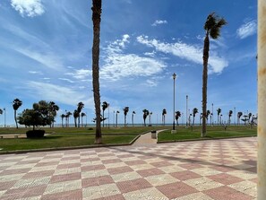 Ein gepflasterter Weg mit Palmen und Straßenlaternen.