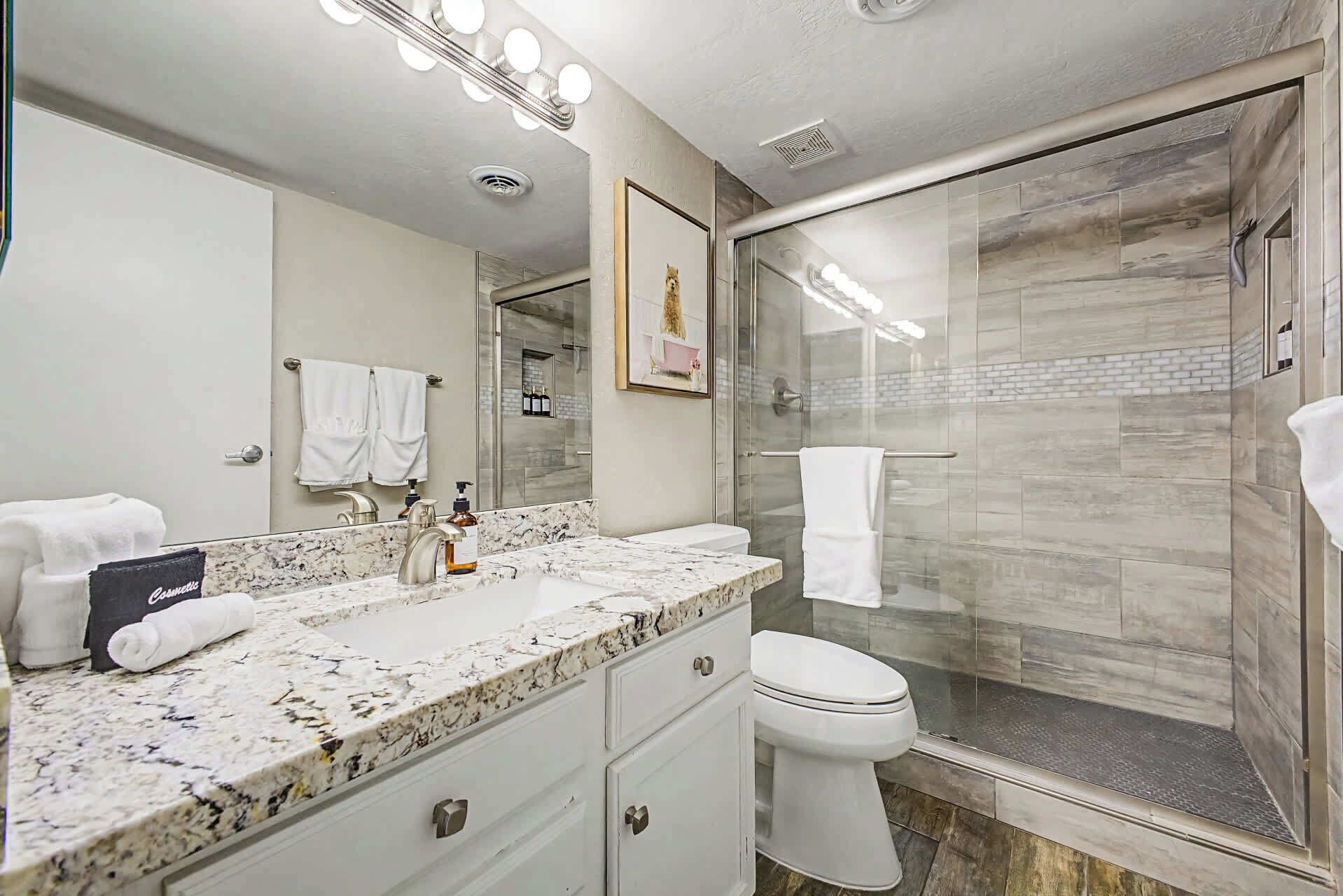 Shower, hair dryer, towels, shampoo