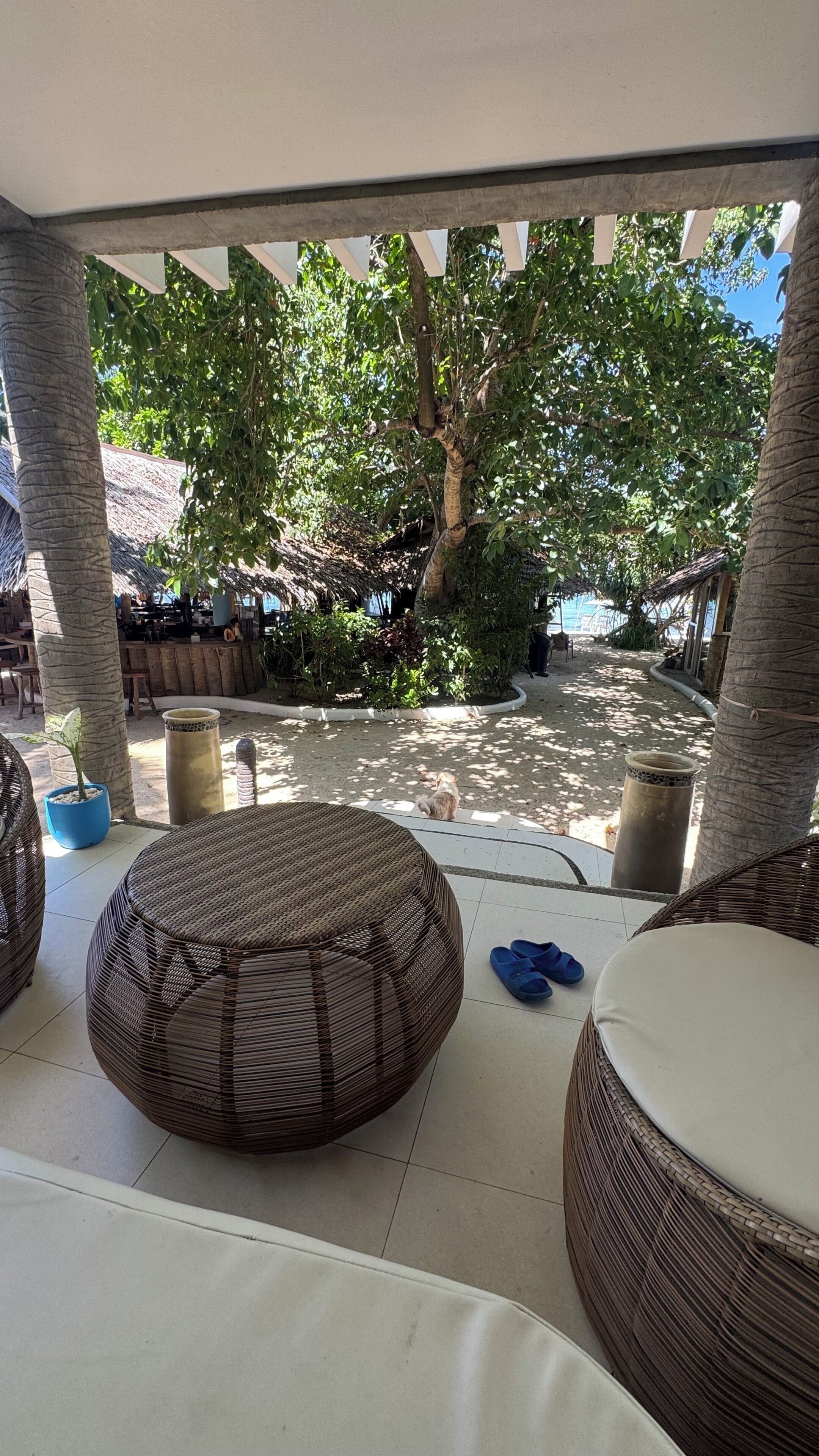 家庭別墅, 海灘景觀 | 露台/庭院
