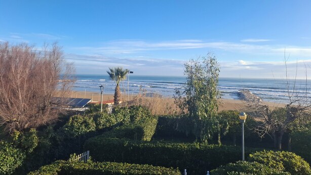 A coastal view with a clear sky, a beach, and a well-maintained garden with hedges and trees.