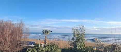 Plage, chaises longues, serviettes de plage