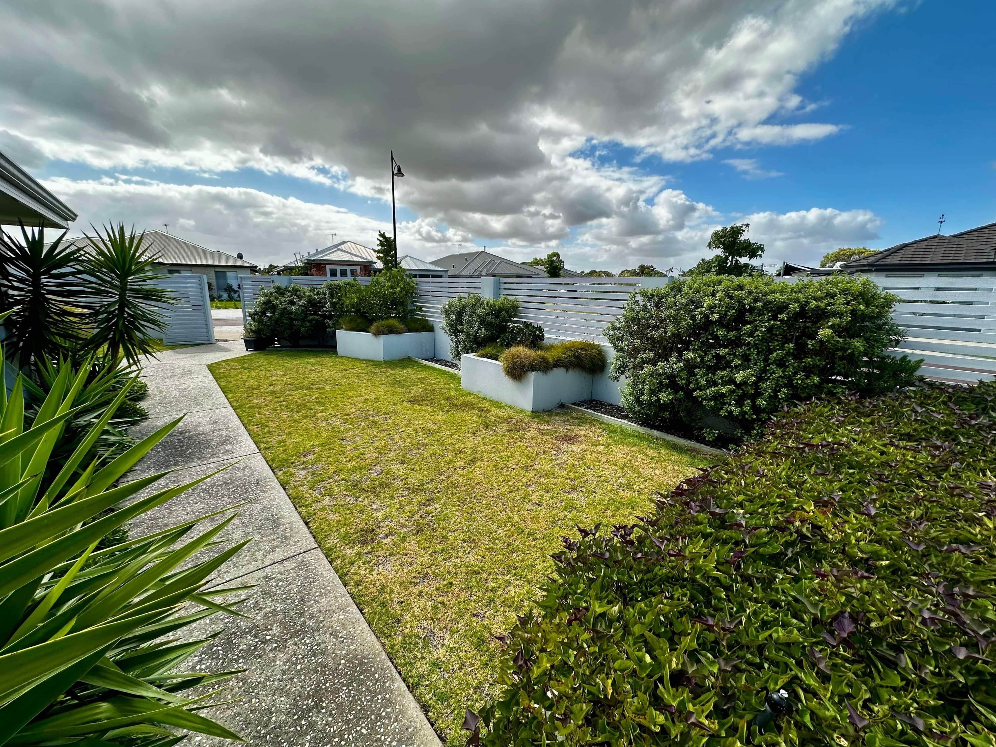 A residential area with a well-maintained lawn, white fences, and various shrubs.