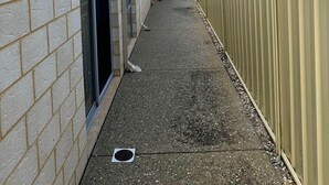 Un étroit couloir extérieur, avec un mur de briques d’un côté et une clôture métallique de l’autre, menant à l’entrée d’un bâtiment.