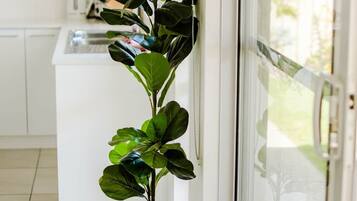 A potted plant in a patterned pot by a sliding glass door in a modern kitchen with white cabinets.