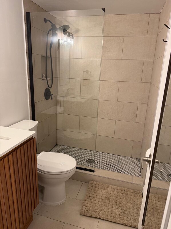 Shower, towels, toilet paper
