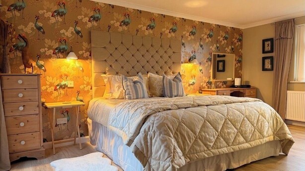 A bedroom with a large bed, a tufted headboard, a nightstand with a lamp, a dresser, and a wall with a bird pattern. - Luxury annex, close to Newquay beaches, town, and amenities! Peaceful spot! (Newquay)