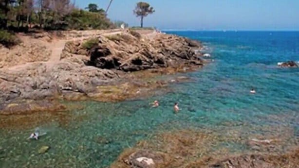 A rocky shoreline with clear water, a few trees, and a distant view of the sea. - Apartment with pool and garden in Saint Aygulf (Fréjus)