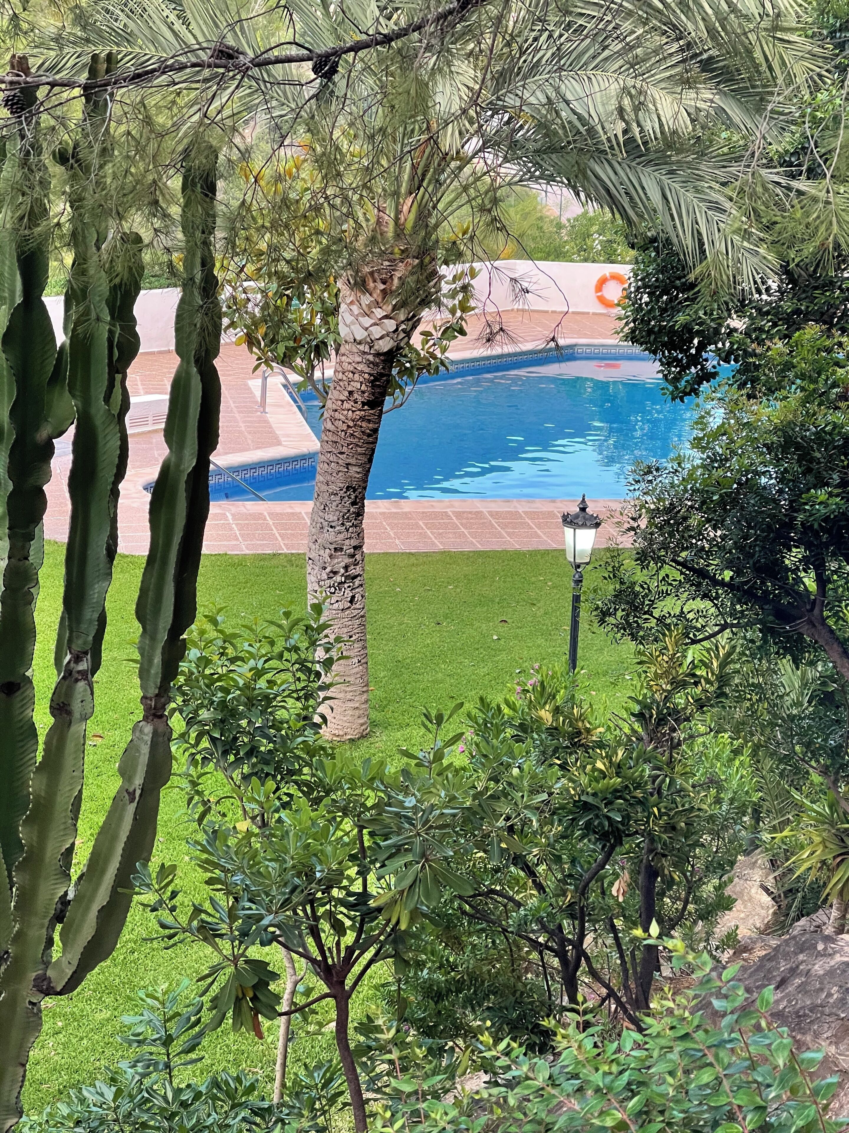 Una piscina rodeada de exuberante vegetación y un césped cuidado.