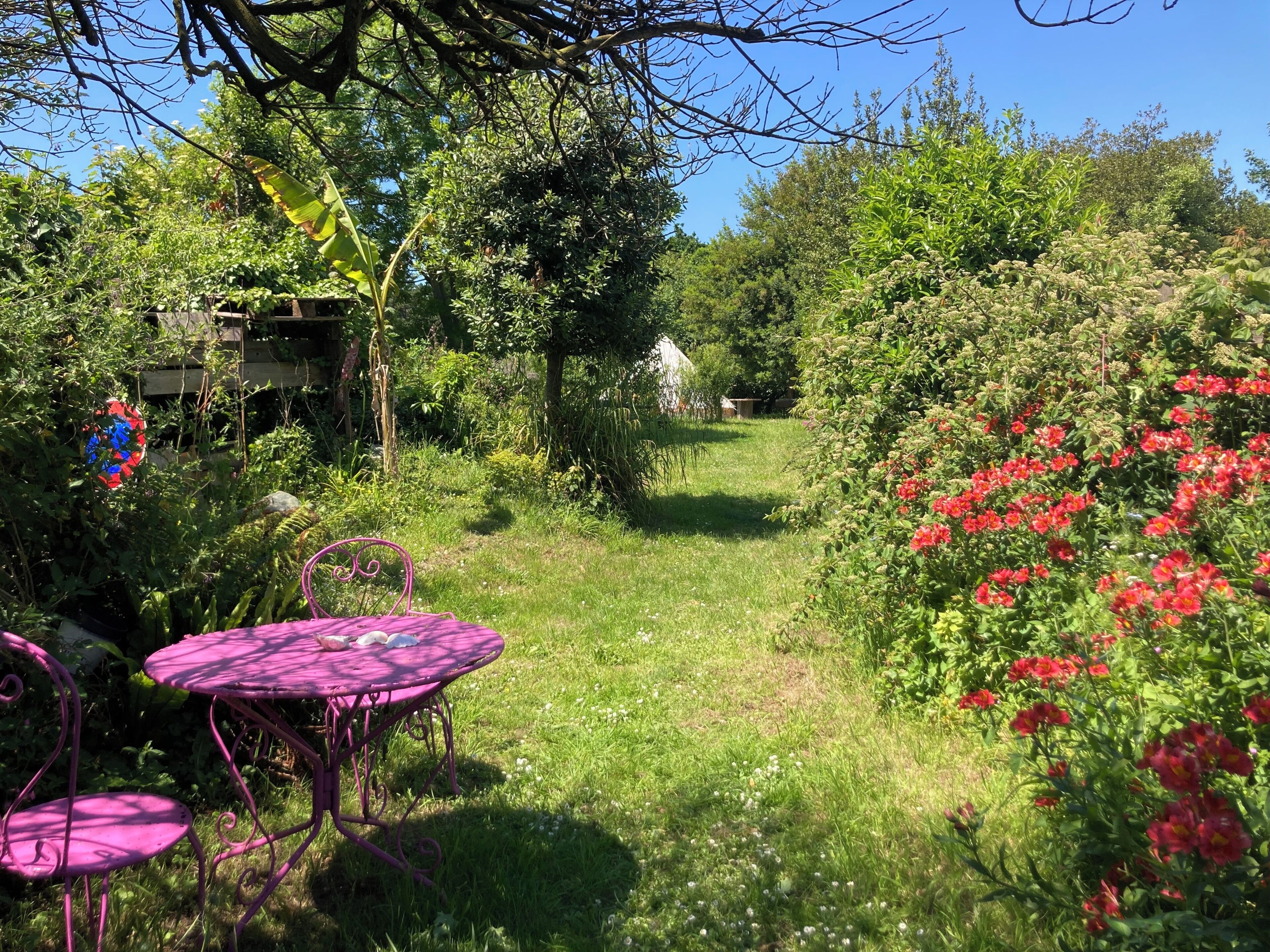 Buiten dineren
