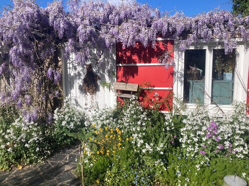 Atypique : tente cloche dans un jardin naturel et bucolique