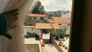 Vista a través de una ventana, con una mano que la tapa parcialmente, mostrando un patio con tejados de tejas, plantas en macetas y una pequeña fuente.