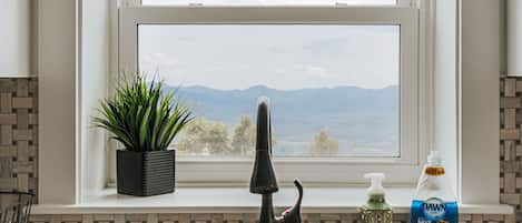 A kitchen with a window, a sink, a faucet, a plant, and a Dawn dish soap bottle.