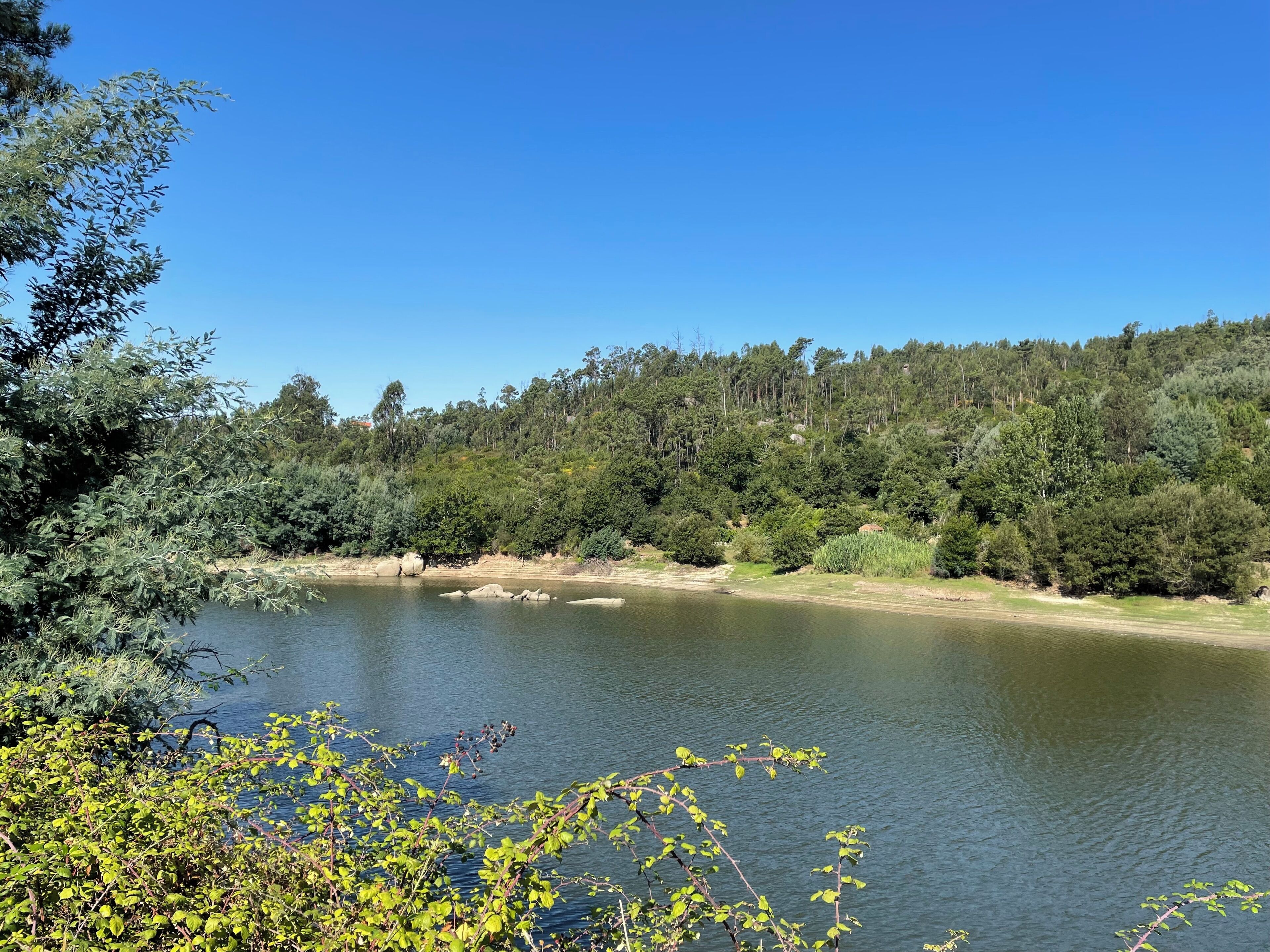 Un lac paisible, entouré d’une forêt dense et surplombé d’un ciel bleu clair.