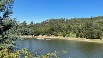 Un lac paisible, entouré d’une forêt dense et surplombé d’un ciel bleu clair.