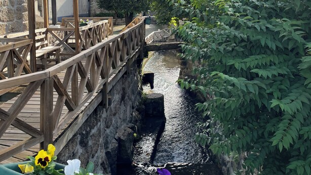 Eine Holzbrücke über einen schmalen Wasserlauf, umgeben von Grünpflanzen und Steinmauern.