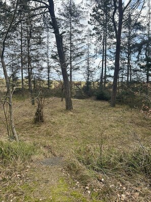 A forested area with a wooden staircase leading up to a structure. - Nature plot with sea access and outdoor shower (Væggerl)