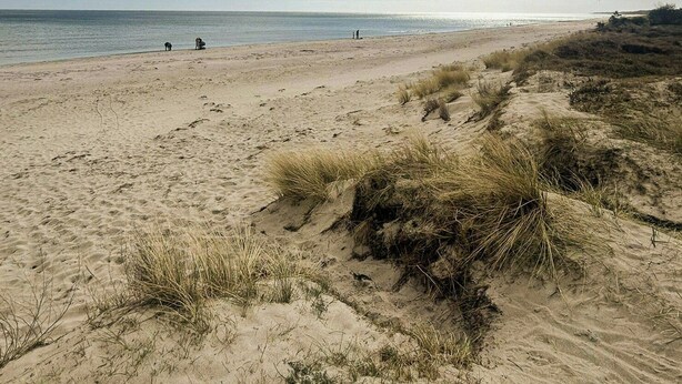Ein Strand mit Dünen und blauem Himmel.