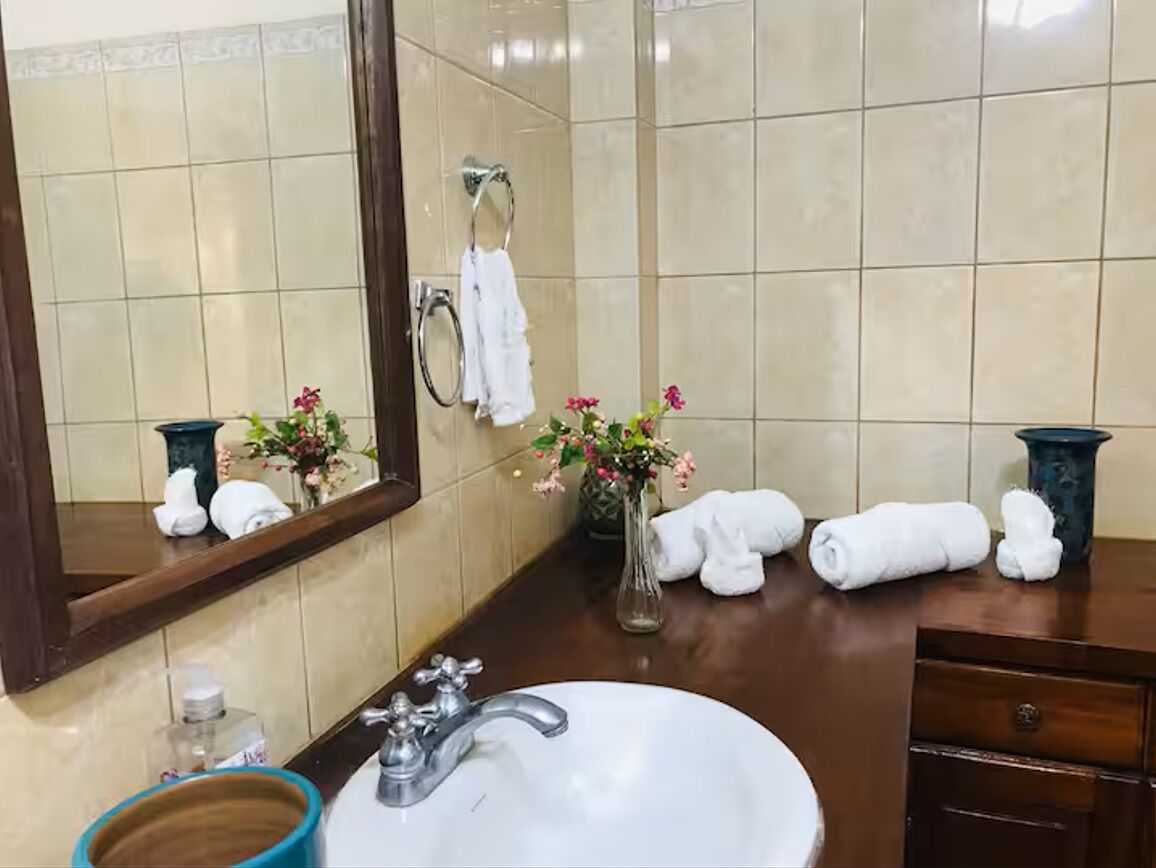 Une salle de bain équipée d’un lavabo, d’un miroir, d’un porte-serviettes et d’un vase décoratif.