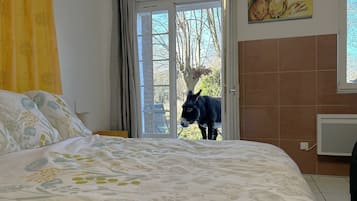 Bügeleisen/Bügelbrett, WLAN
