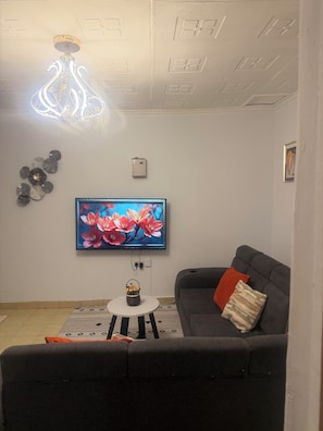 A living room with a flat-screen TV, a grey sofa, a patterned rug, and a decorative wall piece.