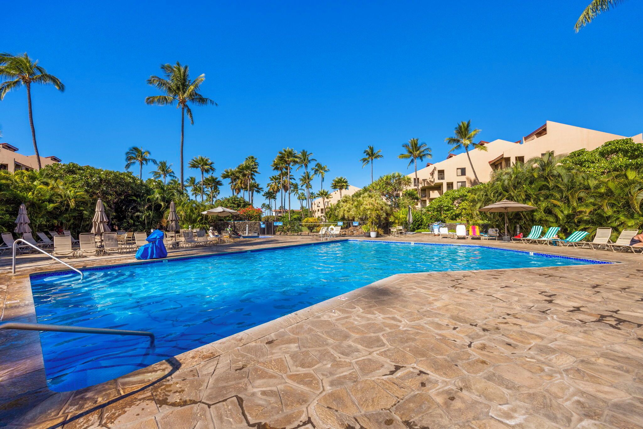 Ein Swimmingpool mit Liegestühlen und Sonnenschirmen, umgeben von Palmen und Gebäuden.