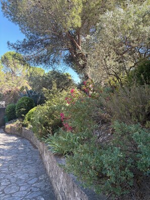 Ein gepflasterter Weg, der von dichtem Buschwerk und Bäumen gesäumt durch einen üppigen Garten führt.