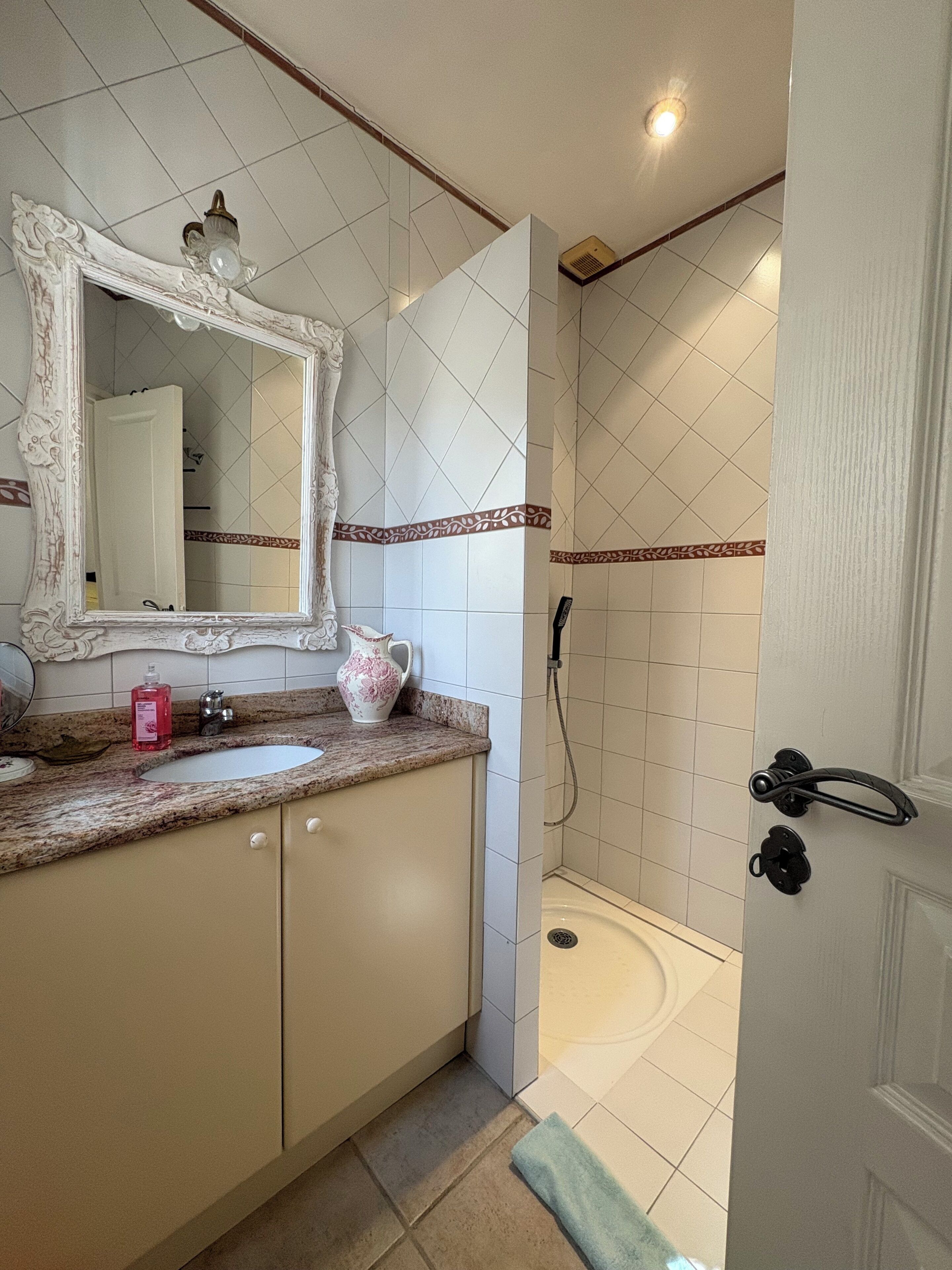 Une salle de bain avec un lavabo, un miroir et une douche.