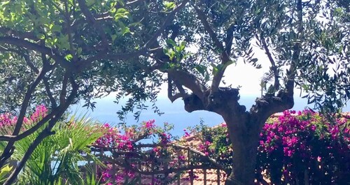 Waves of relaxation: Private Garage and Private Garden & A/C - Ricky's Maple Tree.