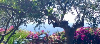 Waves of relaxation: Private Garage and Private Garden & A/C - Ricky's Maple Tree.