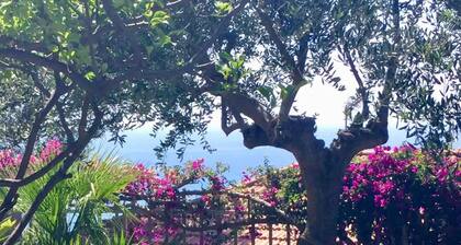 Waves of relaxation: Private Garage and Private Garden & A/C - Ricky's Maple Tree.