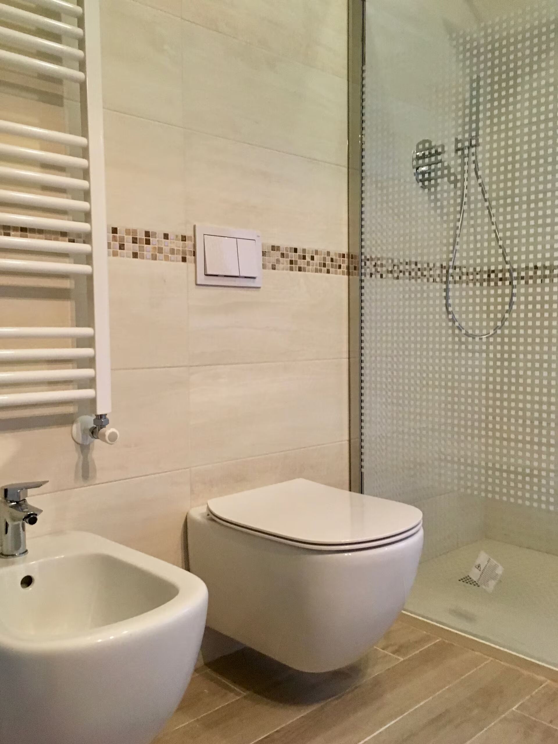 Shower, hair dryer, bidet, towels