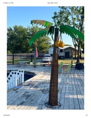 Una terraza de madera con una palmera, asientos exteriores y una piscina.